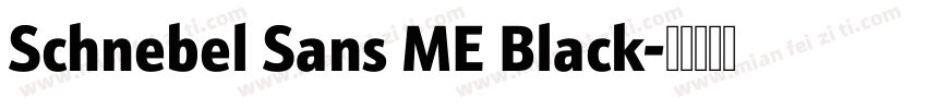 Schnebel Sans ME Black字体转换